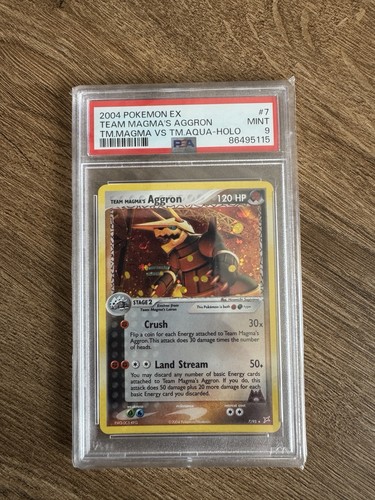 2004 pokemon team - ex,