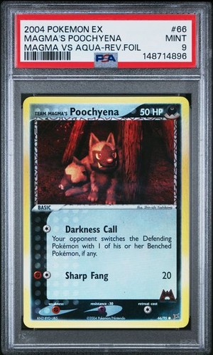 Pokemon magma poochyena - pokemon, magma's