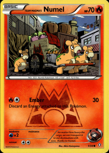 Pokémon tcg team - pokémon, magma's