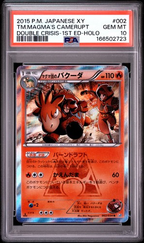 Psa team magma - 10,